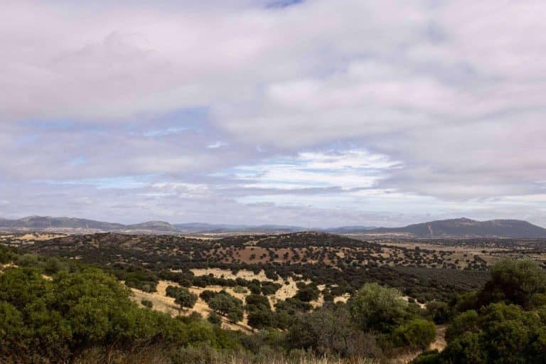 Programa de actividades de Alamillo en Semana Santa