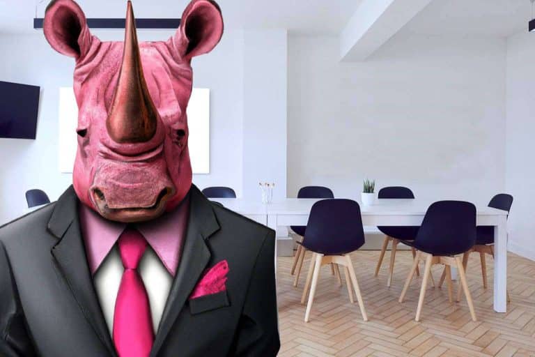 Las agencias 'rinoceronte' de SERSEO para no extinguirse en 2023