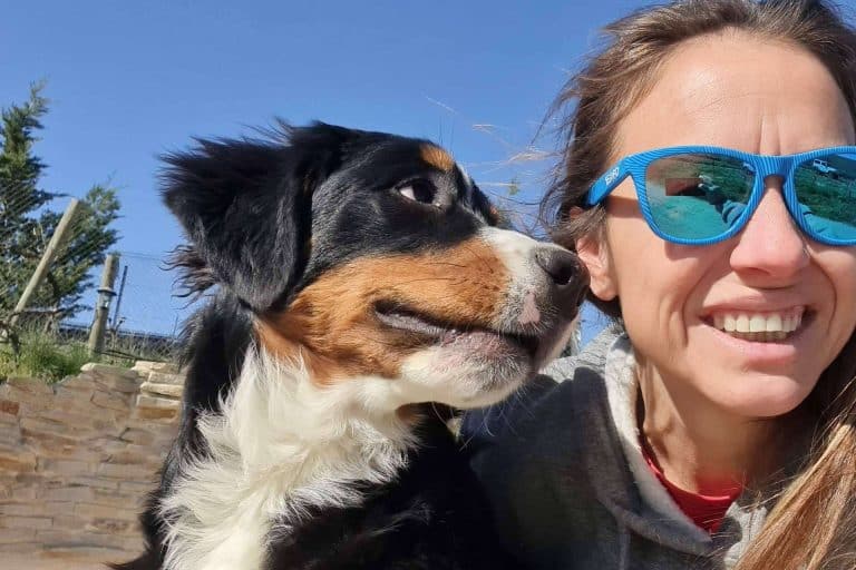 PERROBUENO, los beneficios de la guardería canina en periodos de vacaciones