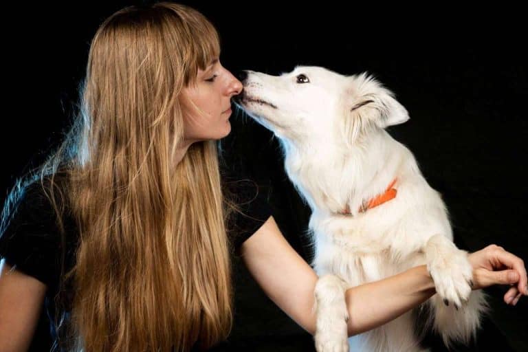 Técnicas y métodos correctivos para perros de la mano de los expertos L'Almozara Can Bosc