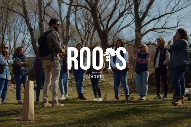 La lucha contra el cambio climático en el nuevo proyecto junto a Reforest Project de Scotta 1985