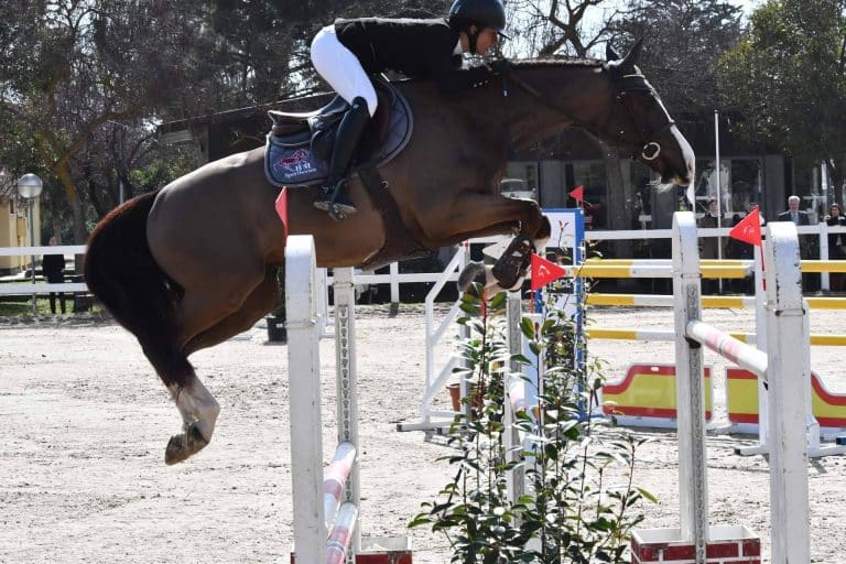 Éxito total en las inscripciones a la Copa Comunidad de Madrid de hípica