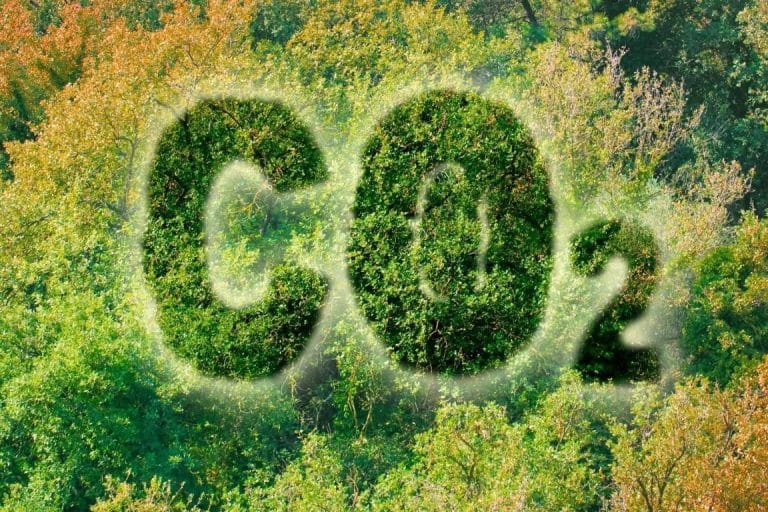 El Grupo Enfrío se suma a la sostenibilidad empresarial