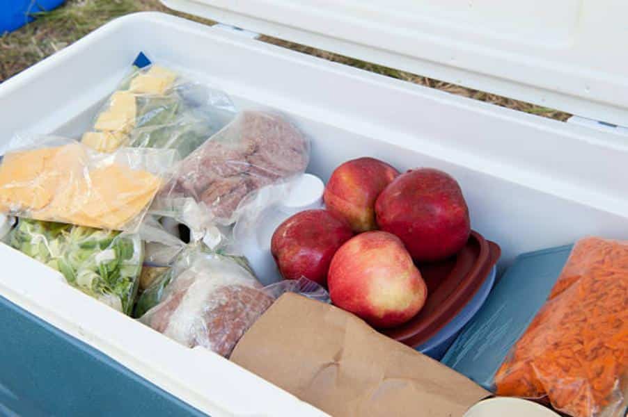 Cómo conservar alimentos y bebidas en la nevera portátil