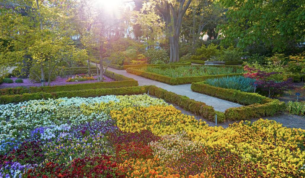 jardin-botanico-primavera