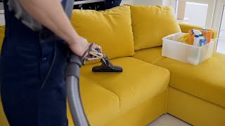 ¿Por qué poner una hoja de laurel en la aspiradora?