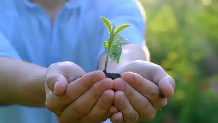 Ver la televisión es bueno para el planeta