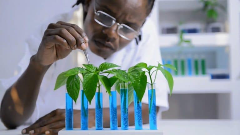 Las plantas cuando sufren lloran