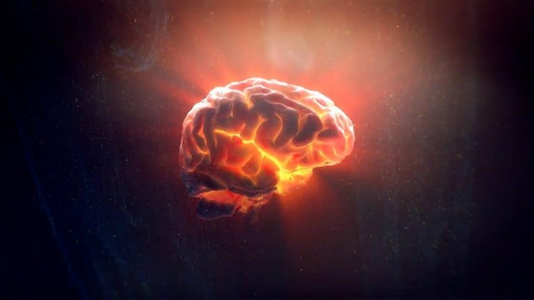 El cerebro masculino y femenino tiene reacciones diferentes ante la belleza