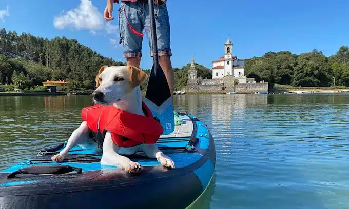 Mejores pueblos de España para ir de vacaciones con tu perro