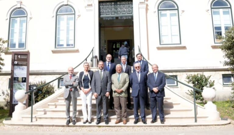 Motor Verde + Foresta: el gran programa de reforestación en Portugal de la Fundación Repsol