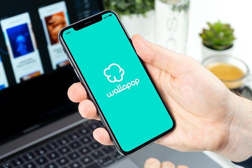 Qué es Wallapop Protect