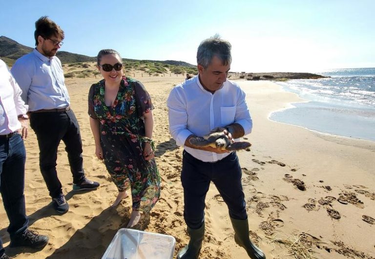 Liberada una tortuga boba en la playa de Calblanque, en Cartagena (Murcia)