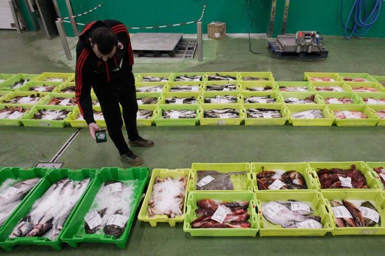 La secretaria general de Pesca subraya la importancia de la ciencia y la innovación para el sector pesquero