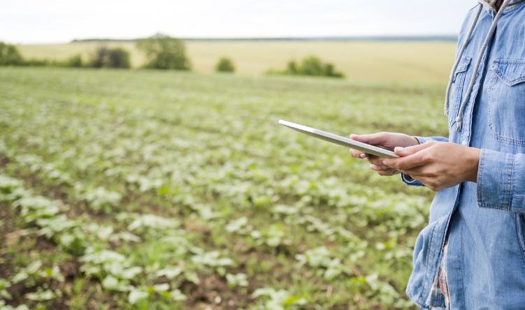 El futuro del sector agroalimentario: la agroindustrialización
