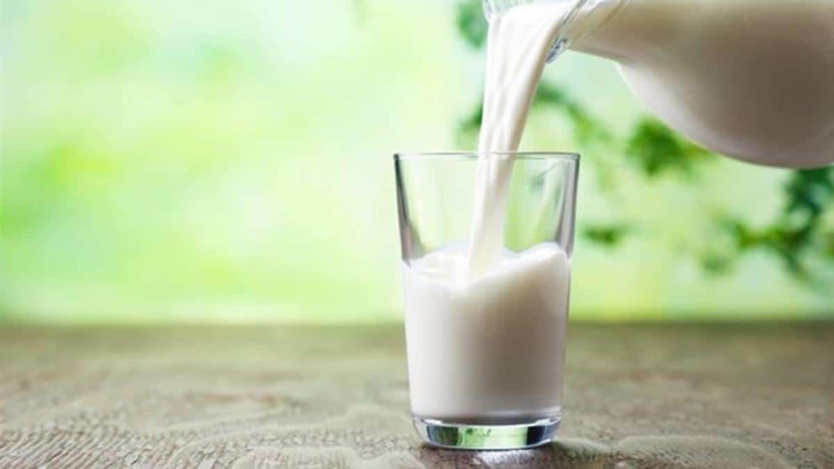 Mitos de la leche según la OCU: desmontando falsas creencias sobre salud 20 leche salud