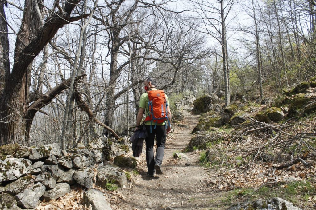 ¿Te gustan las castañas?