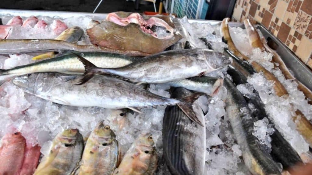 OCU: un aliado para el consumidor exigente