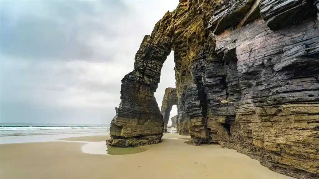 La longitud es muy larga