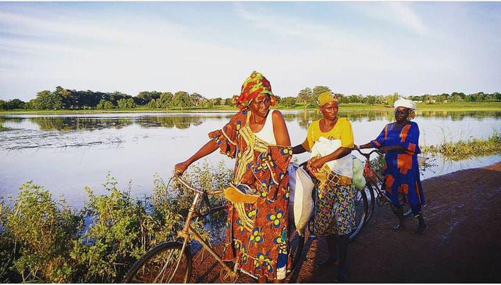 África y las crisis futuras del hambre que vienen 2 IMG 20230502 WA0032