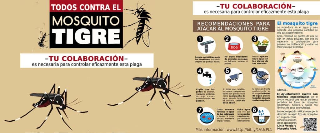 ¿Cómo puedo saber si hay mosquitos tigre en mi zona?