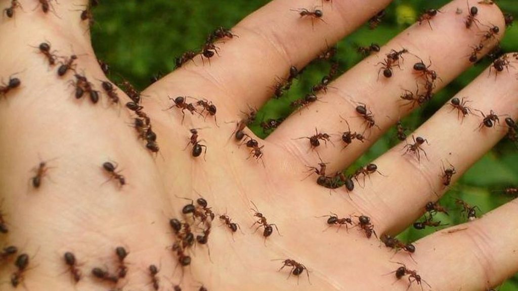 Meteorólogos estallan contra las predicciones de Jorge Rey: “es una falta de respeto” 34 La predicción de Jorge Rey que generó polémica en las redes sociales