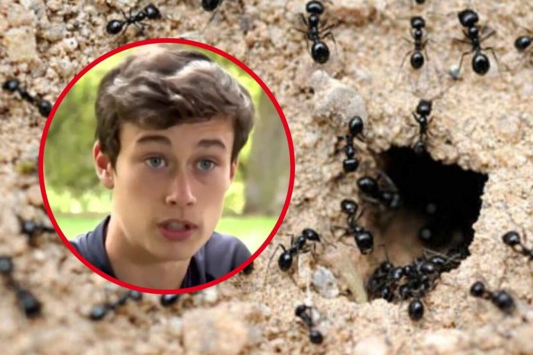 Meteorólogos estallan contra las predicciones de Jorge Rey: “es una falta de respeto”