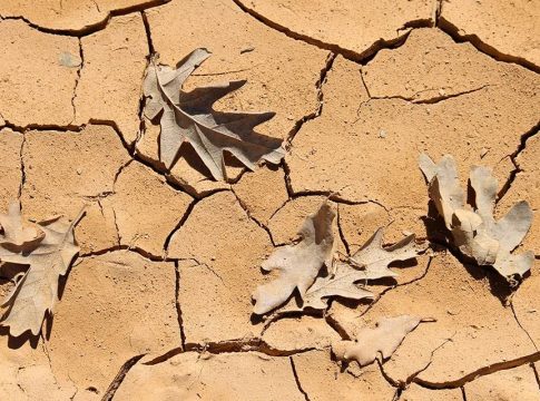 No, las lluvias torrenciales no 