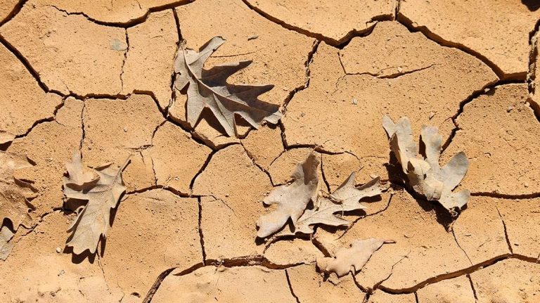 No, las lluvias torrenciales no 