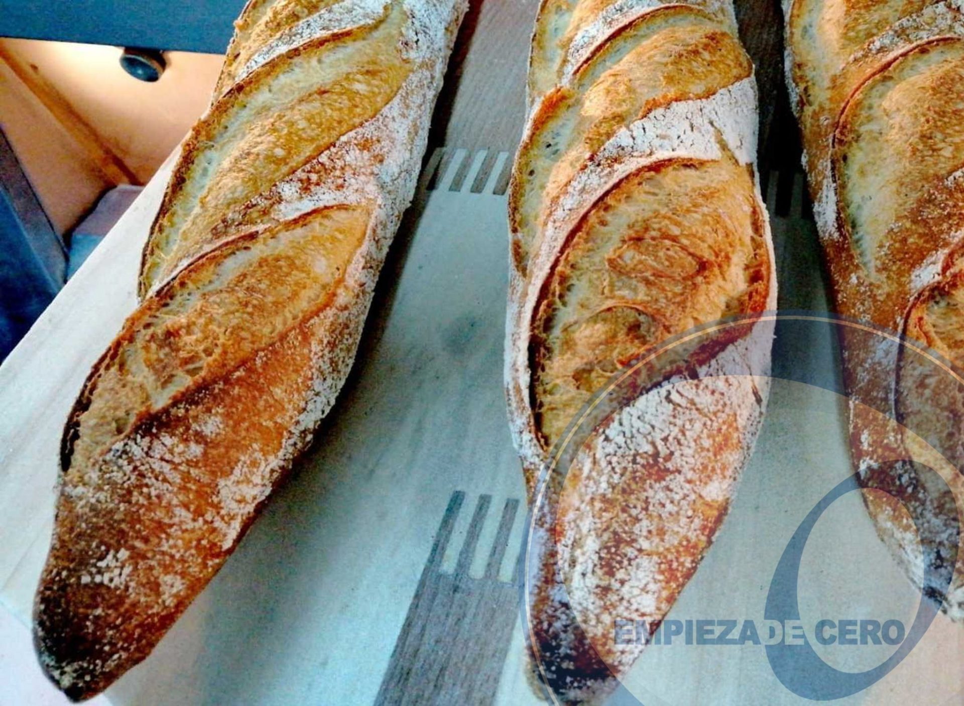 Panaderos_Palma