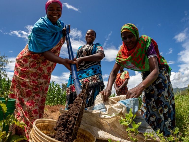 Smoking Paper mantiene su liderazgo en sostenibilidad con Roll with Green y la máxima calificación de CDP