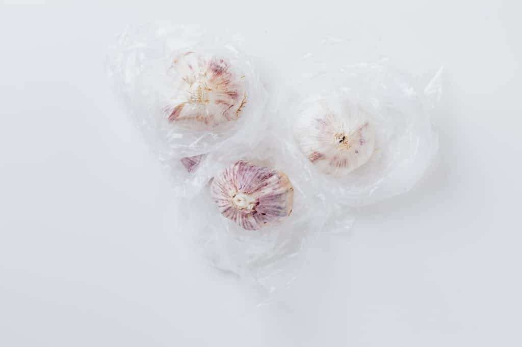 Mejores remedios caseros para las picaduras de mosquitos 33 El ajo