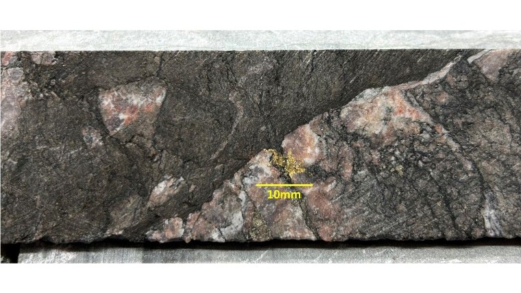 Nuevo descubrimiento: Goldflare obtiene 15G/t en 7 metros en el proyecto Goldfields 1 Nuevo descubrimiento: Goldflare obtiene 15G/t en 7 metros en el proyecto Goldfields