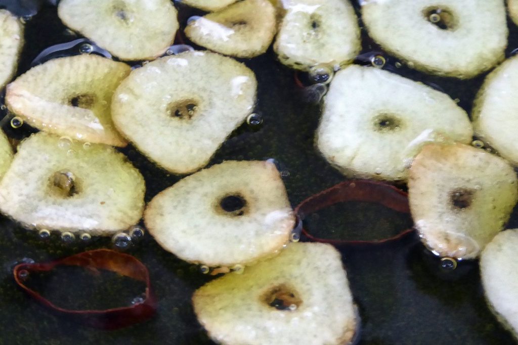 Costillas de cerdo al pimentón, la curiosa receta de Arguiñano que se ha hecho toda la vida 150 image 43