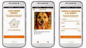 Mejores apps para Android para adoptar un perro 3 image 6