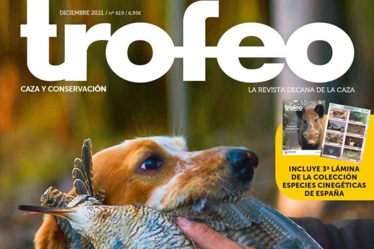 Los perros de caza, por Trofeo Caza