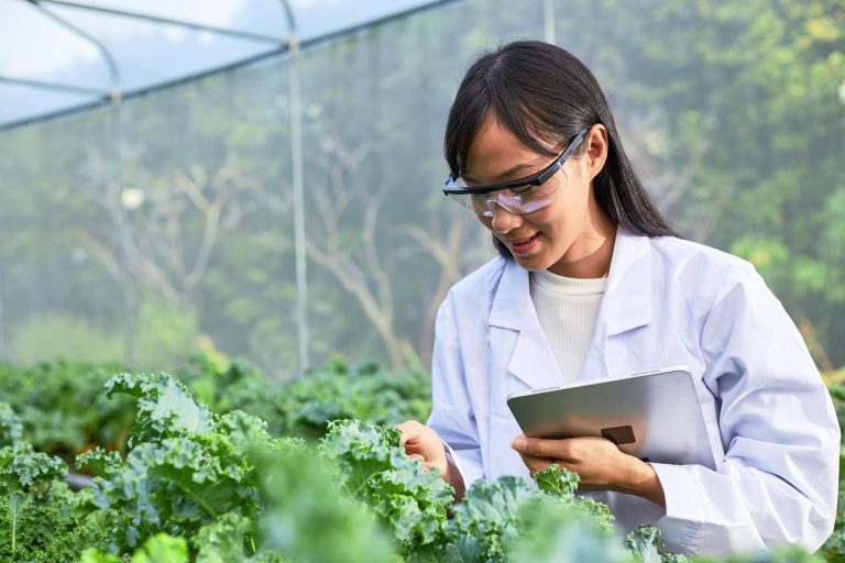 Fitovademécum, una plataforma de relevancia en el ámbito agrícola de la consultora de inteligencia competitiva Imeanticipa
