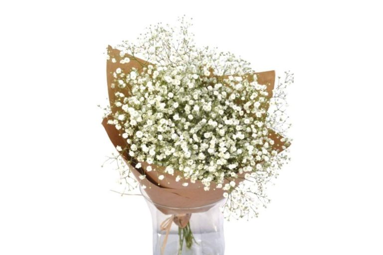 Un regalo ideal es el ramo paniculata blanca de Rosistirem