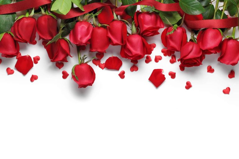 Rosistirem, la tienda para regalar rosas amarillas y rojas