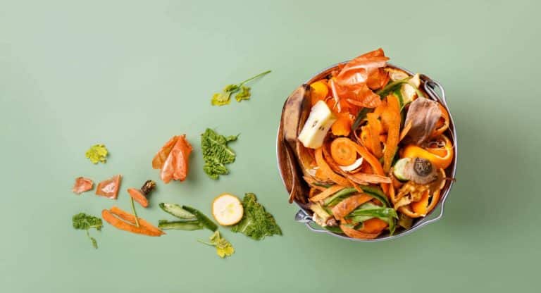 EAT INN, la startup que reduce el desperdicio alimentario en hoteles