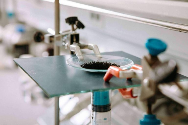 Nanopartículas de hierro y sus aplicaciones, por la start-up española Calpech