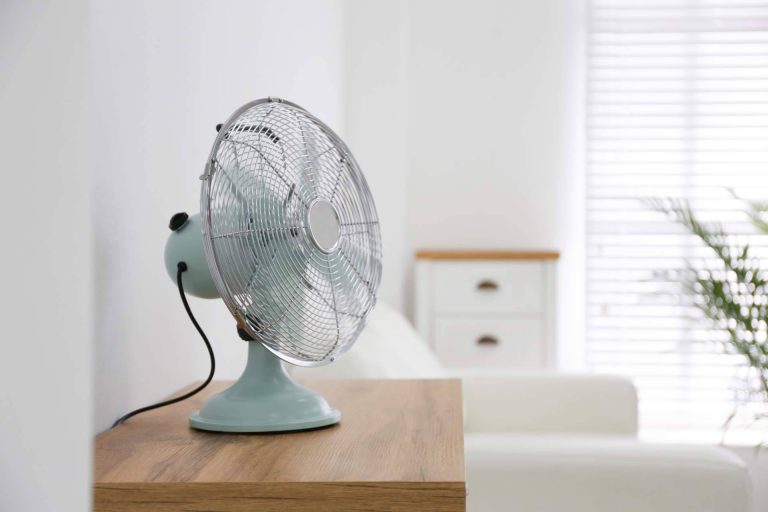 Combatir el calor del verano con los ventiladores de Tomás Beltrán