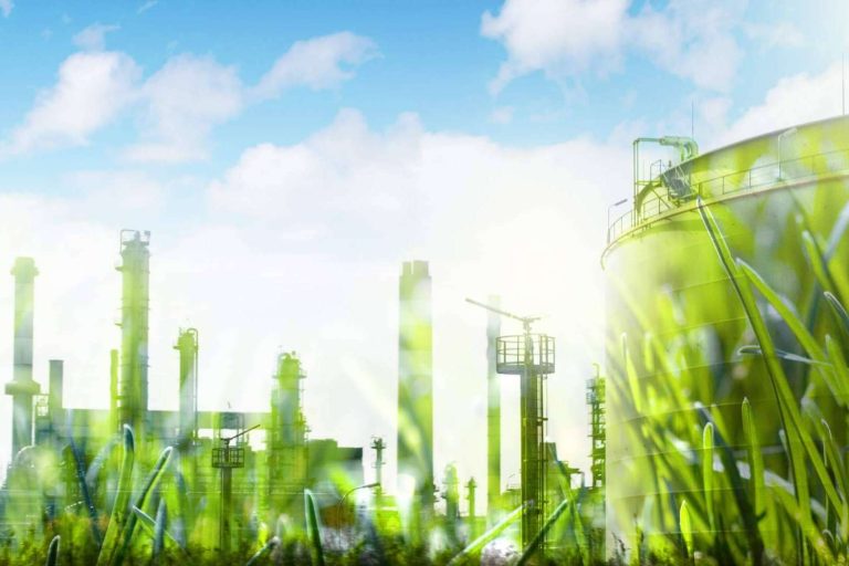 Educación ambiental; la clave para enfrentar el cambio climático y promover la sostenibilidad