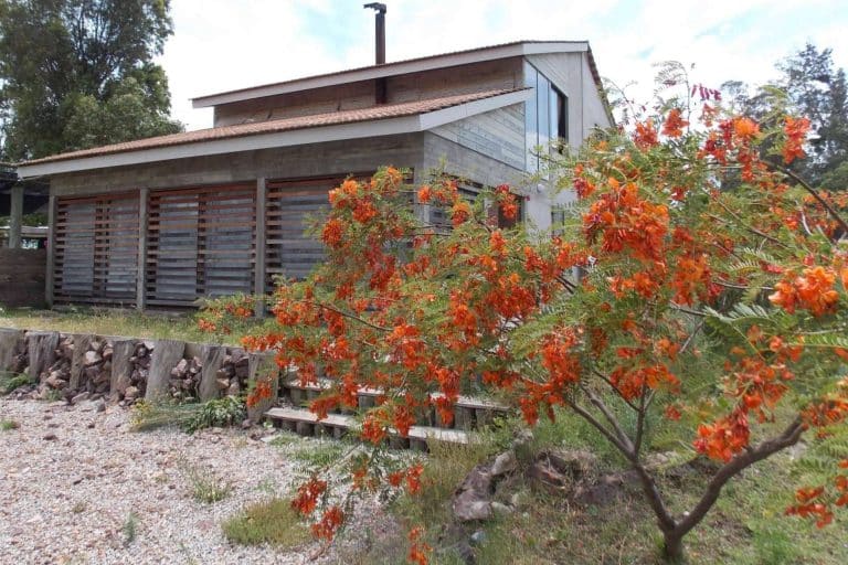 La empresa constructora Estudio Pinares se encuentra en Punta del Este, Uruguay