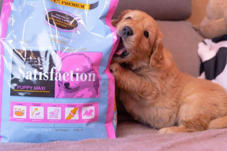 ¿Cuáles son los beneficios de la gama de pienso Satisfaction Super Premium?