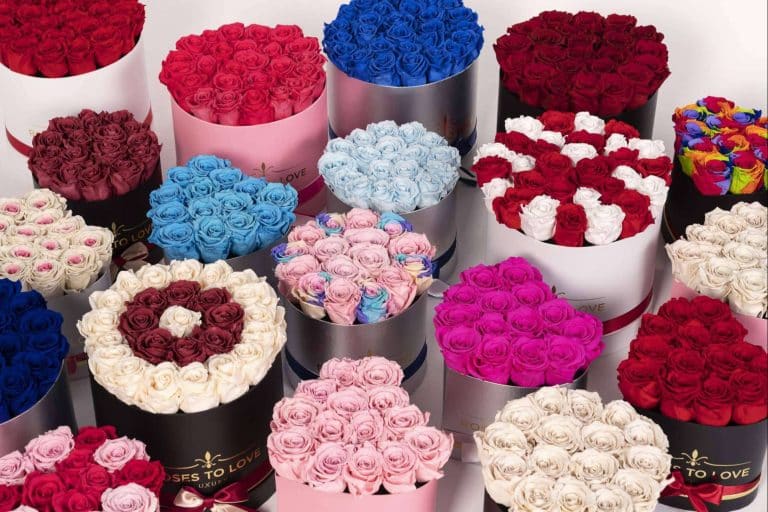 Unirse al movimiento ECO con las flores preservadas de Roses To Love