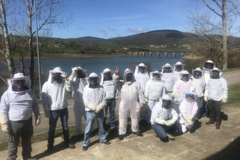 Cursos de apicultura presenciales y prácticos impartidos por CursosApicultura.com