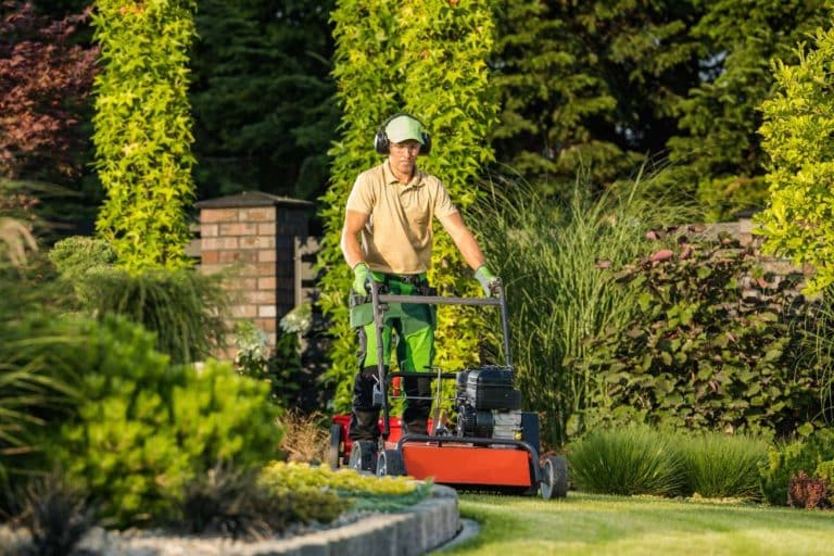 Preparar el jardín para la llegada del buen tiempo de la mano de elalquilador.com