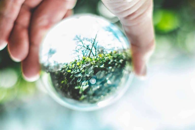 El público vota a las empresas que enamoran por su sostenibilidad y propósito