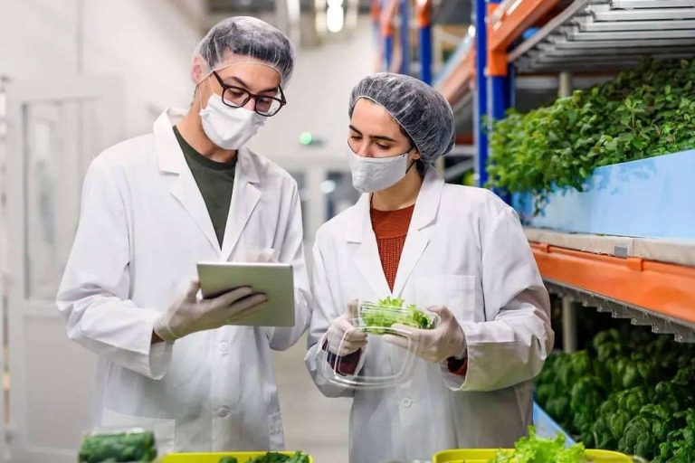 La lucha contra el desperdicio alimentario, por SERUNION y su Comité Experto y el plan de acción